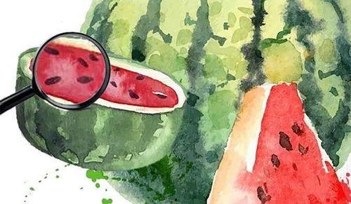 2020年吃瓜汇总,盘点娱乐圈、社会热点中的那些“瓜”